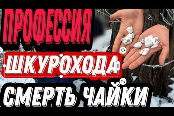 Кракена точка нет